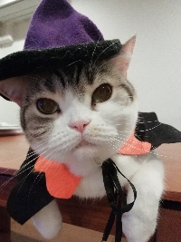Chiku