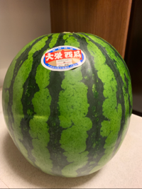 タッペン