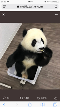 コスタデルソル