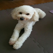 モコちん