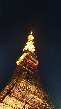 なななのな。