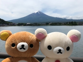 ユリハ