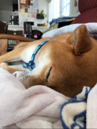 うひゃ