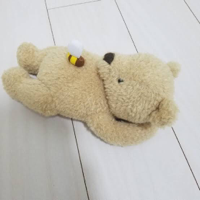 KUMAKUMA2525