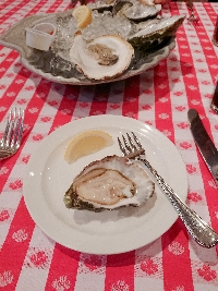 とっとこなつ太郎