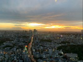 Y*R様 無印良品　テレビ台 ガラス扉付き　110 楽天市場】ガラス扉 幅60cm ホワイトオーク材 ホワイトオーク