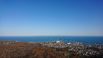 せしるれもん