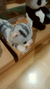 ニッシー