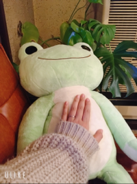 あっこっこ＊