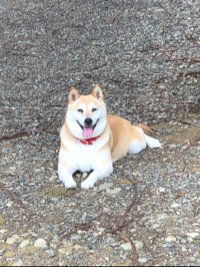 ぶっくう