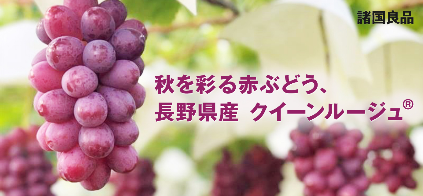 秋を彩る赤ぶどう 長野県産 クイーンルージュ 無印良品
