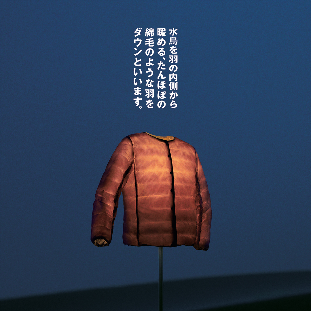 軽量ダウン