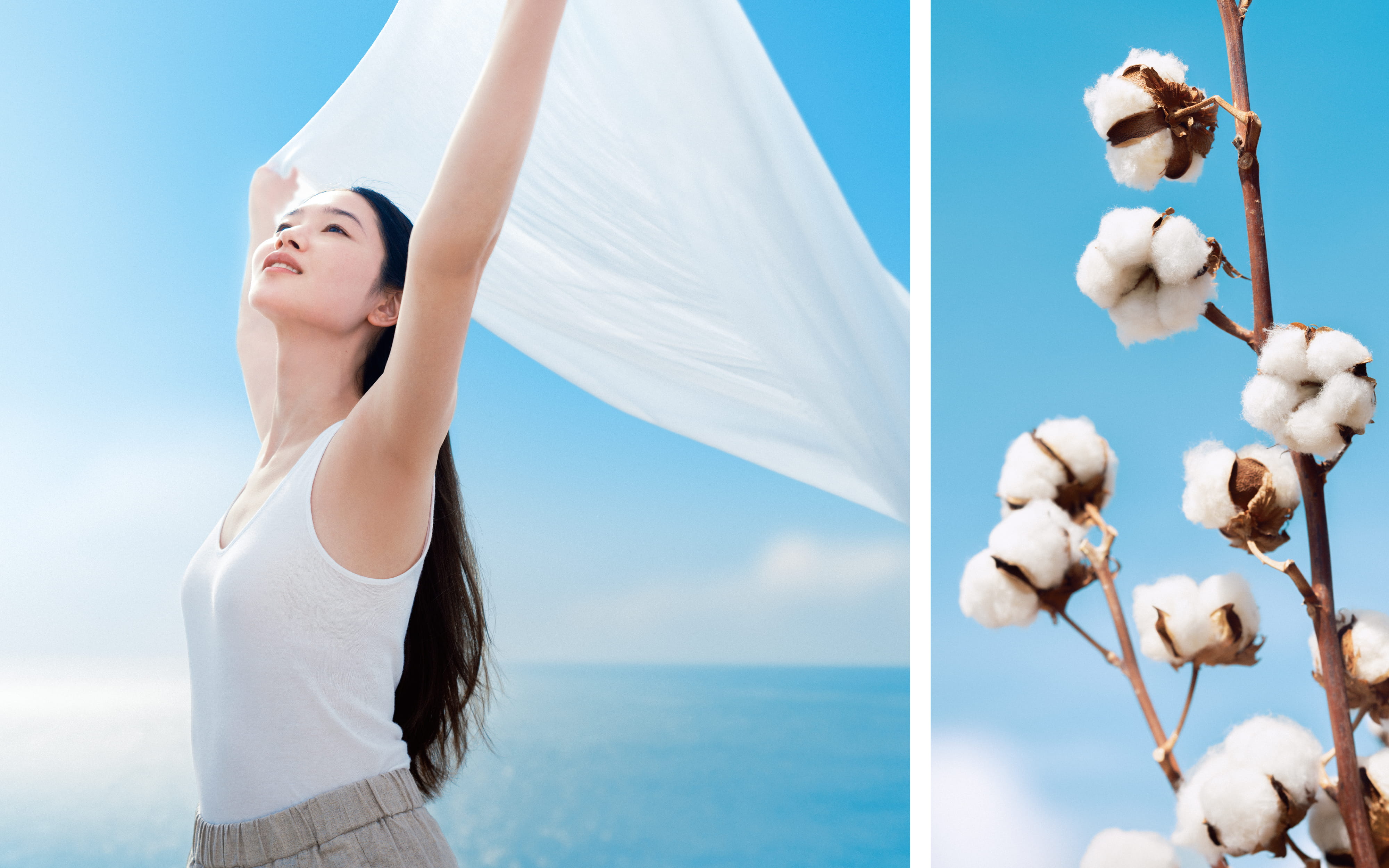 さらっとなのは、綿だから。さらっと綿インナー