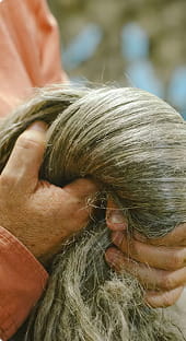 リネン｜長く使うほど馴染む天然素材