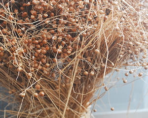 完走したヘンプ・リネンの画像