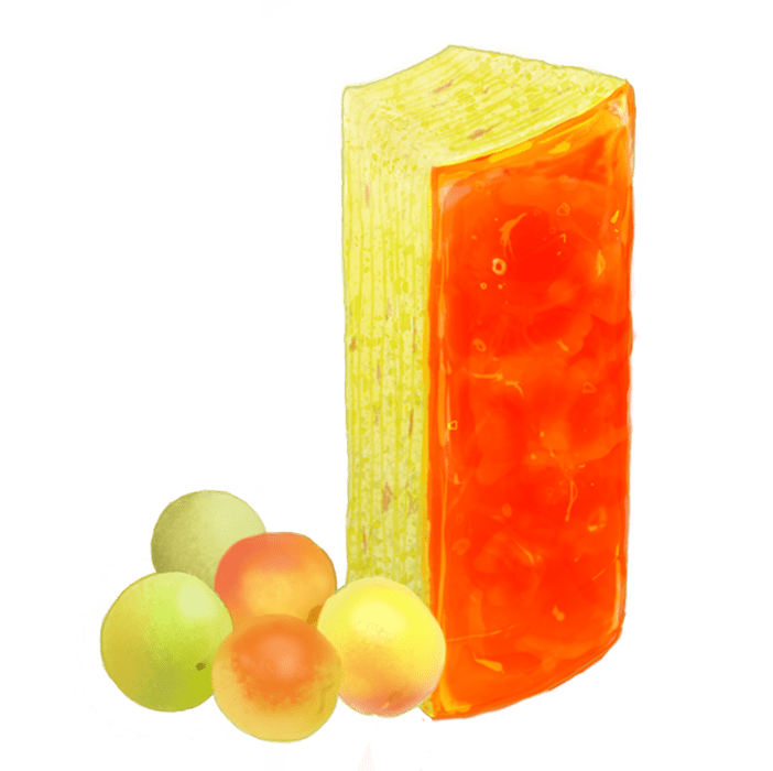 梅バウムのイラスト