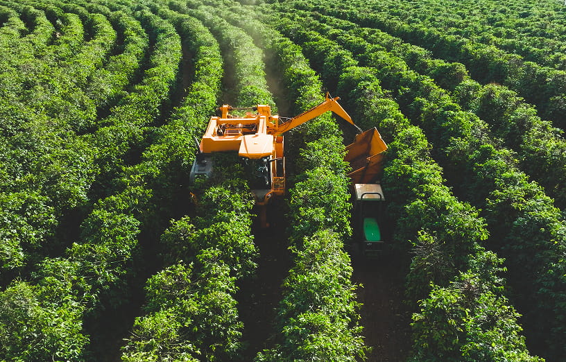 コーヒーの未来を考えるのイメージ画像1