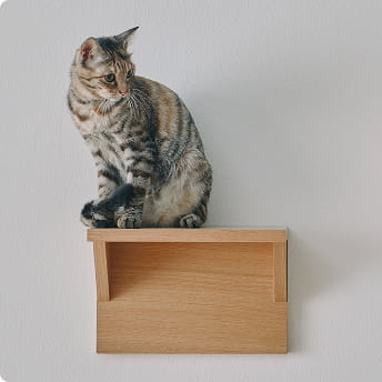 壁に付けられる家具猫用ステップ