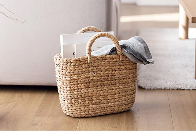 ウォーターヒヤシンス