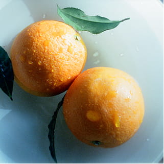 シトラスウッディのイメージ