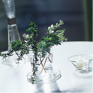 フレッシュエアーのイメージ