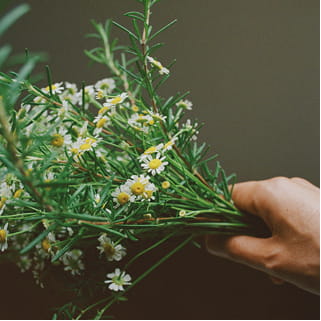 フローラルのイメージ