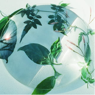 フローラルウッディのイメージ