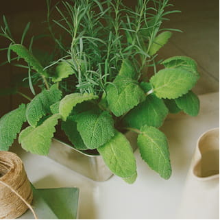 グリーンのイメージ