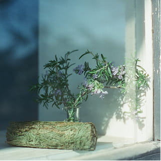 グリーンフローラルのイメージ