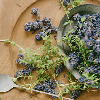 ハーバルのイメージ