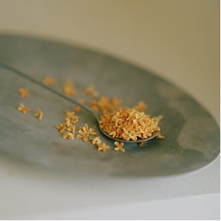 金木犀のイメージ