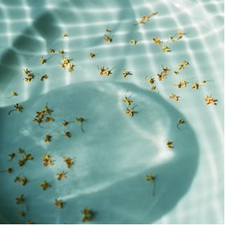 金木犀の香りのイメージ