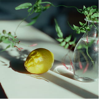 ホワイトティーのイメージ