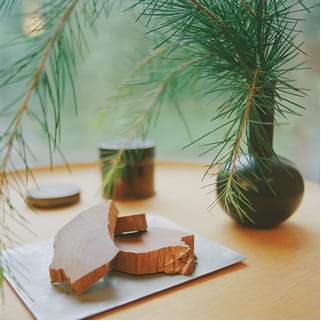 ウッディのイメージ