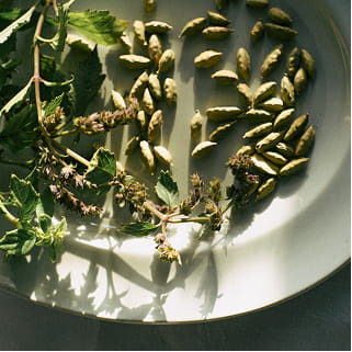 ウッディアンバーのイメージ