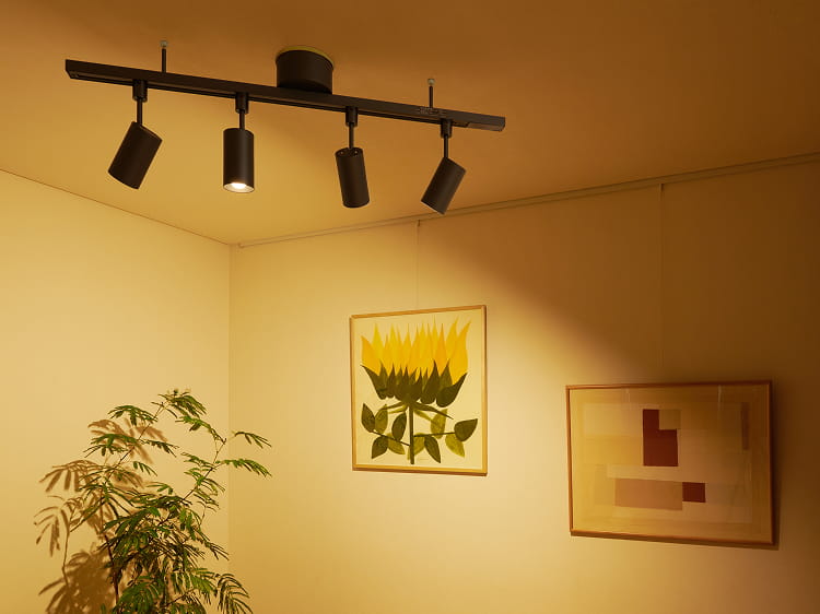 レールシステムを使った照明の画像