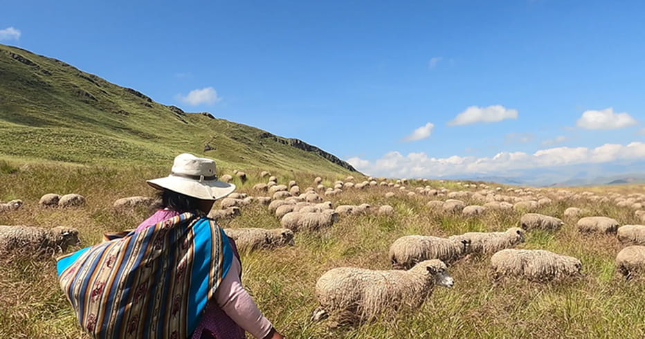 人と自然とモノの、望ましい関係を目指して
