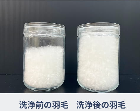 洗浄前と洗浄後の羽毛の比較イメージ