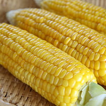 とうもろこしの画像