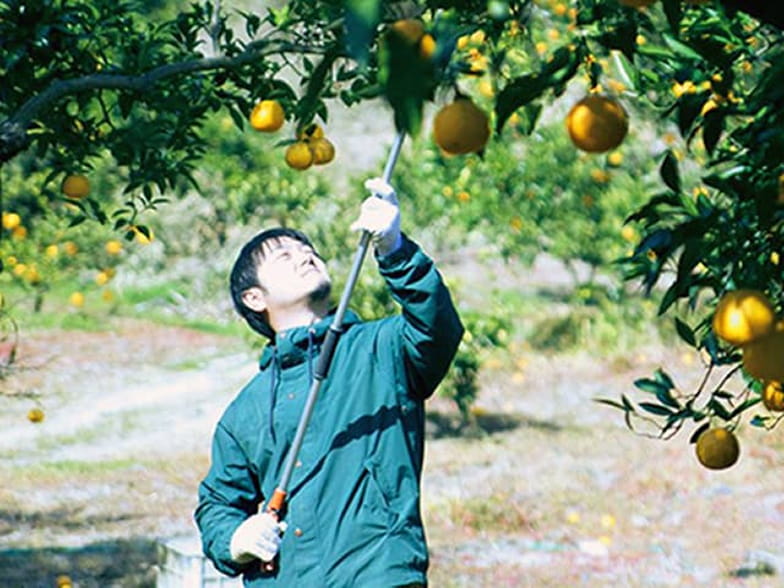 淡路橙研究所の画像