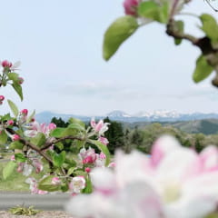 大友農園のイメージ