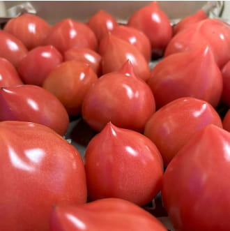 れぎゅーむれぎゅーむのりんごのイメージ