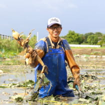 節目に囲む<br class="sf-u-only_mobileAndTablet">「おせち」に込めた願い