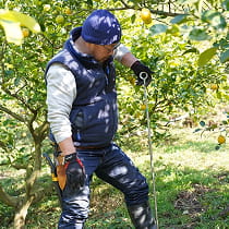 「citrusfarms たてみち屋」について