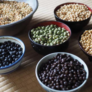 マルマメン工房のイメージ