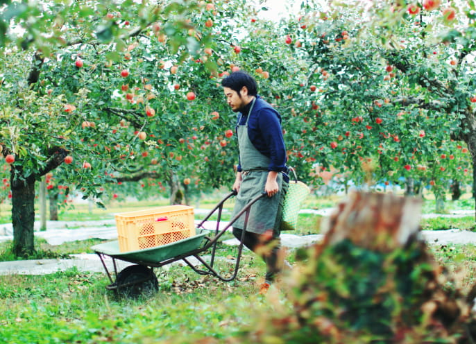 おてつたび体験レポート　リンゴリらっぱ