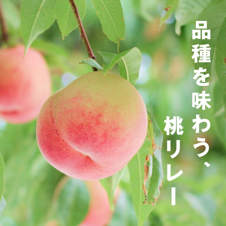 品種を味わう、桃リレー
