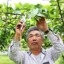 古谷農園研究所