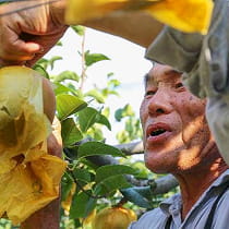 ひろおかファーム