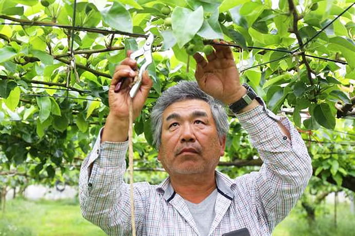 古谷農園研究所のイメージ